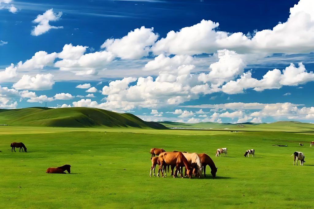 Experience China's Most Iconic Summer Grassland Escape
 
 