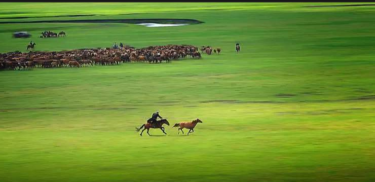 Hulun Buir Grassland 