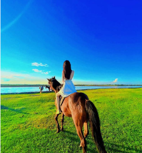 Important Safety Notice for Your Hulunbuir Horse Riding Experience